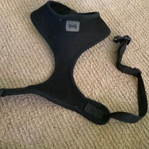 Black Dog Harness